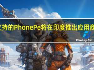 沃尔玛支持的PhonePe将在印度推出应用商店 与谷歌竞争