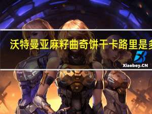 沃特曼 亚麻籽曲奇饼干卡路里是多少