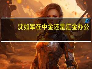 沈如军在中金还是汇金办公（沈如军-中央汇金投资有限责任公司副董事长兼总经理介绍）