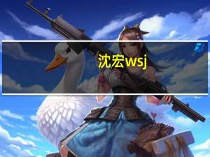 沈宏wsj（沈宏非简介）