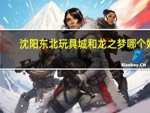 沈阳东北玩具城和龙之梦哪个好