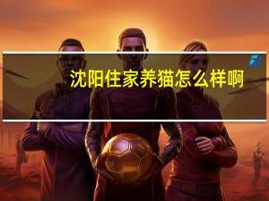 沈阳住家养猫怎么样啊