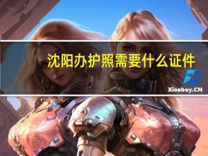 沈阳办护照需要什么证件