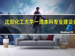 沈阳化工大学一流本科专业建设名单