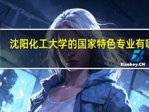 沈阳化工大学的国家特色专业有哪些