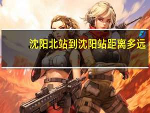 沈阳北站到沈阳站距离多远