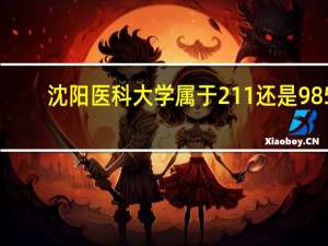 沈阳医科大学属于211还是985