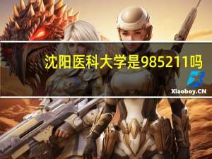 沈阳医科大学是985211吗