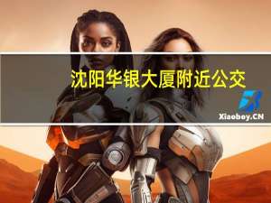 沈阳华银大厦附近公交（沈阳华银大厦）