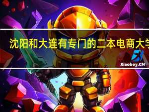 沈阳和大连有专门的二本电商大学嘛
