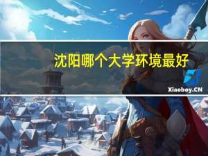 沈阳哪个大学环境最好