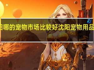 沈阳哪的宠物市场比较好 沈阳宠物用品批发市场