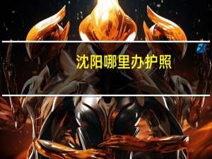 沈阳哪里办护照