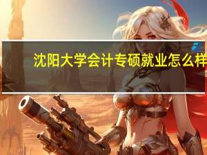 沈阳大学会计专硕就业怎么样