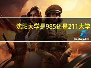 沈阳大学是985还是211大学