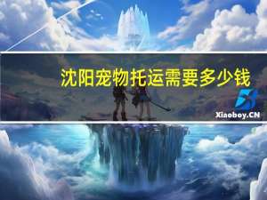 沈阳宠物托运需要多少钱