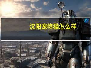 沈阳宠物猫怎么样