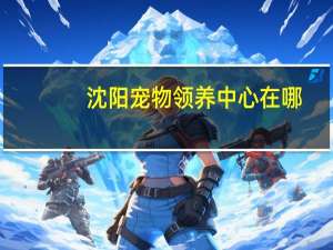 沈阳宠物领养中心在哪