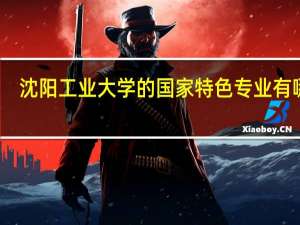 沈阳工业大学的国家特色专业有哪些
