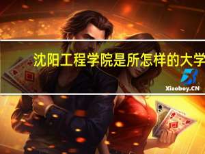 沈阳工程学院是所怎样的大学