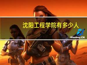 沈阳工程学院有多少人