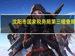 沈阳市国家税务局第三稽查局（沈阳市国家税务局）
