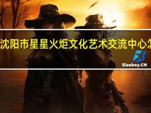 沈阳市星星火炬文化艺术交流中心怎么样