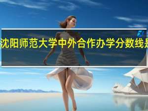 沈阳师范大学中外合作办学分数线是多少