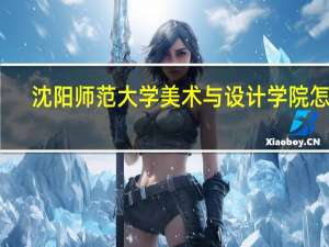 沈阳师范大学美术与设计学院怎样