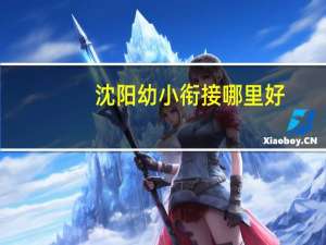 沈阳幼小衔接哪里好