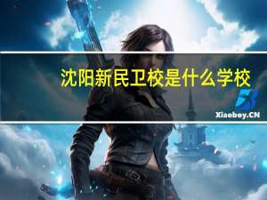 沈阳新民卫校是什么学校