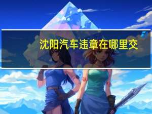 沈阳汽车违章在哪里交