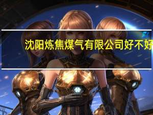 沈阳炼焦煤气有限公司好不好（沈阳炼焦煤气有限公司）