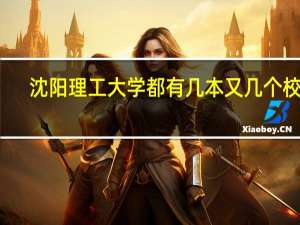 沈阳理工大学都有几本又几个校区