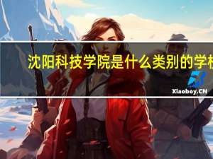 沈阳科技学院是什么类别的学校