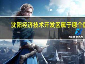 沈阳经济技术开发区属于哪个区