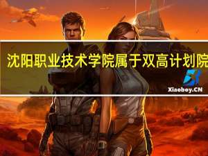 沈阳职业技术学院属于双高计划院校吗