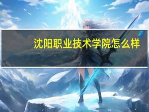 沈阳职业技术学院怎么样
