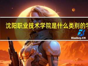 沈阳职业技术学院是什么类别的学校