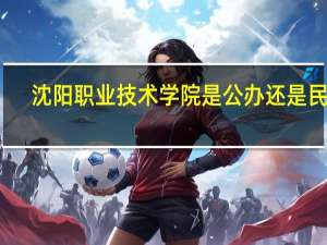 沈阳职业技术学院是公办还是民办