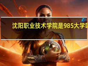 沈阳职业技术学院是985大学吗