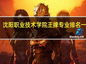 沈阳职业技术学院王牌专业排名一览表