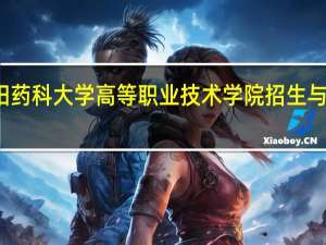 沈阳药科大学高等职业技术学院招生与就业工作