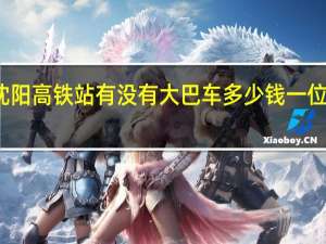 沈阳飞机场到沈阳高铁站有没有大巴车多少钱一位 桃仙机场到沈阳北站