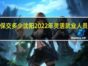 沈阳2022年灵活就业社保交多少　沈阳2022年灵活就业人员社保养老缴费标准档次有几种