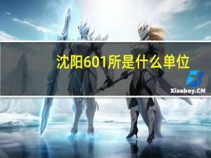沈阳601所是什么单位