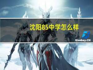 沈阳85中学怎么样