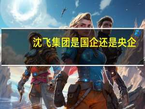 沈飞集团是国企还是央企