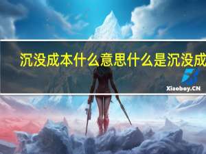 沉没成本什么意思 什么是沉没成本