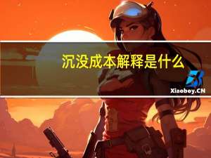 沉没成本解释是什么